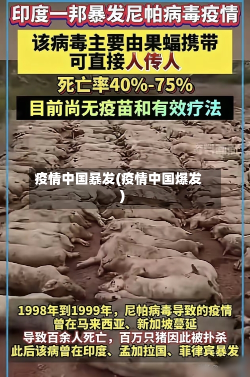 疫情中国暴发(疫情中国爆发)