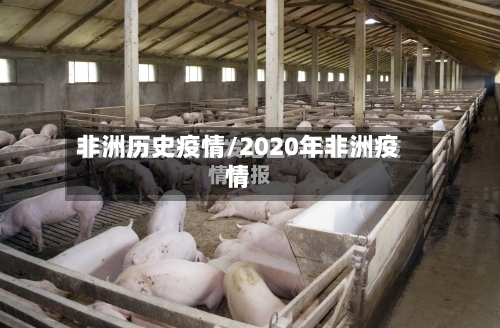 非洲历史疫情/2020年非洲疫情