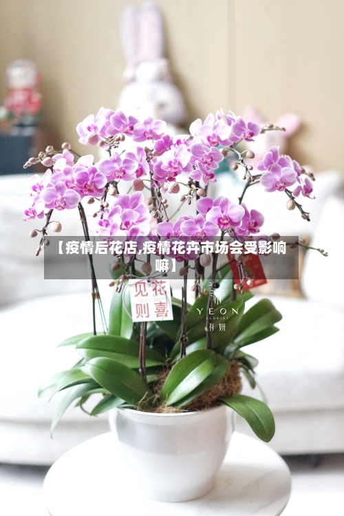 【疫情后花店,疫情花卉市场会受影响嘛】-第2张图片
