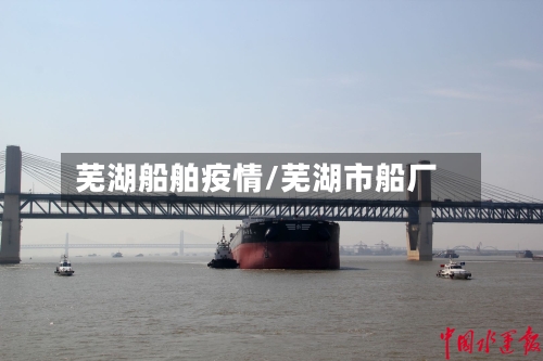 芜湖船舶疫情/芜湖市船厂-第2张图片