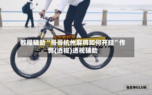 教程辅助“哥哥杭州麻将如何开挂”作弊(透视)透视辅助-第2张图片