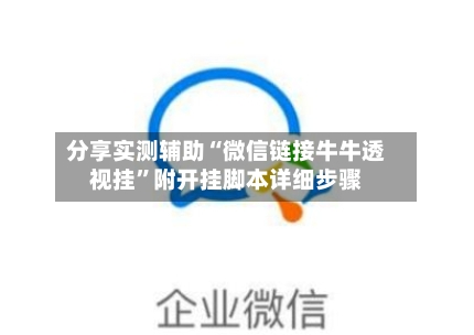 分享实测辅助“微信链接牛牛透视挂”附开挂脚本详细步骤