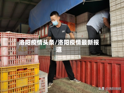 洛阳疫情头条/洛阳疫情最新报道-第2张图片