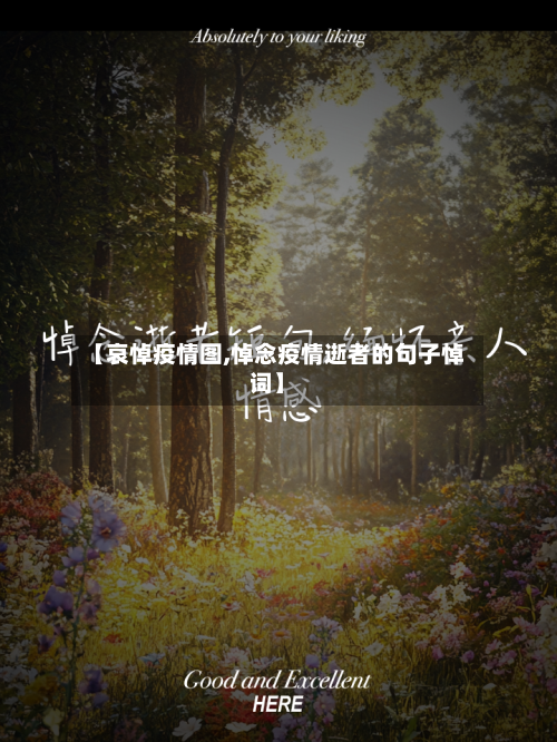 【哀悼疫情图,悼念疫情逝者的句子悼词】-第3张图片