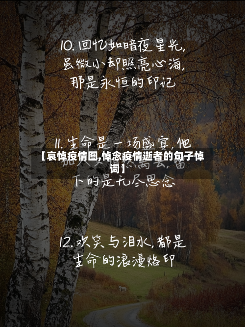 【哀悼疫情图,悼念疫情逝者的句子悼词】-第2张图片