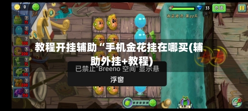 教程开挂辅助“手机金花挂在哪买(辅助外挂+教程)-第2张图片