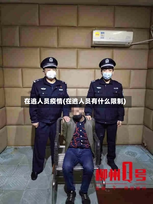 在逃人员疫情(在逃人员有什么限制)-第2张图片