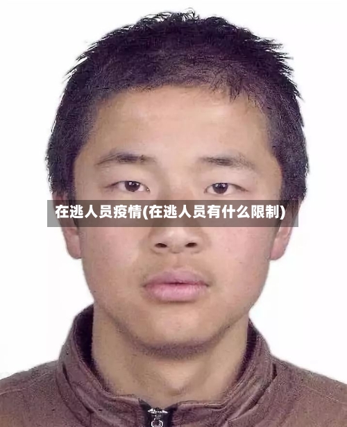在逃人员疫情(在逃人员有什么限制)-第3张图片