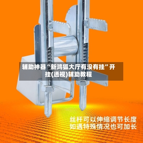 辅助神器“新鸿狐大厅有没有挂	”开挂(透视)辅助教程-第2张图片