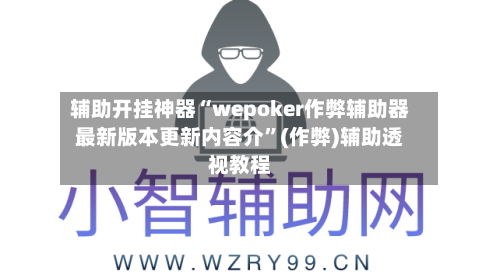 辅助开挂神器“wepoker作弊辅助器最新版本更新内容介	”(作弊)辅助透视教程-第1张图片