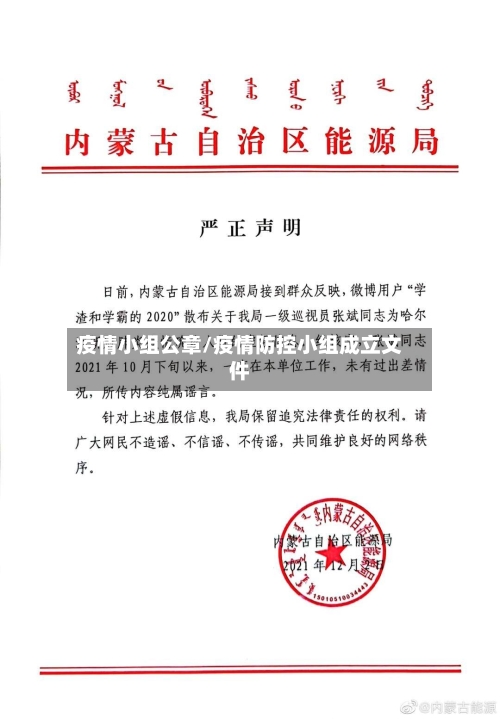 疫情小组公章/疫情防控小组成立文件-第2张图片