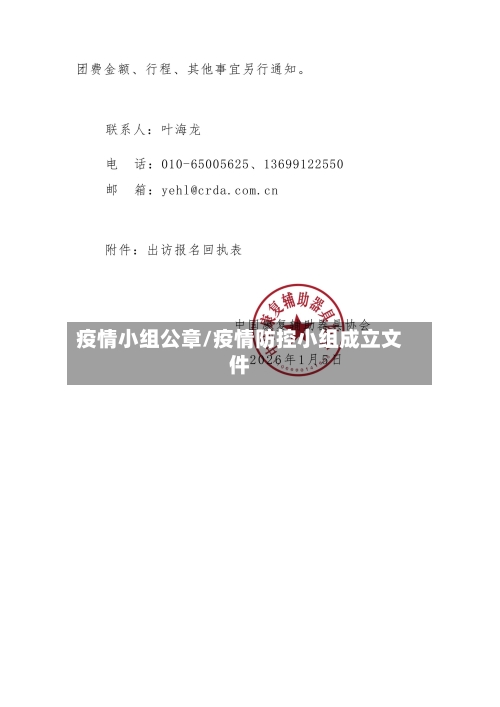 疫情小组公章/疫情防控小组成立文件-第3张图片