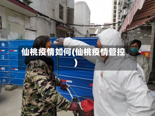 仙桃疫情如何(仙桃疫情管控)-第2张图片