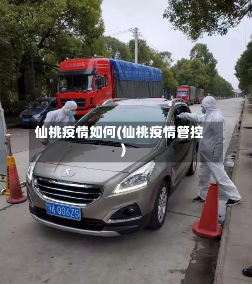 仙桃疫情如何(仙桃疫情管控)-第3张图片