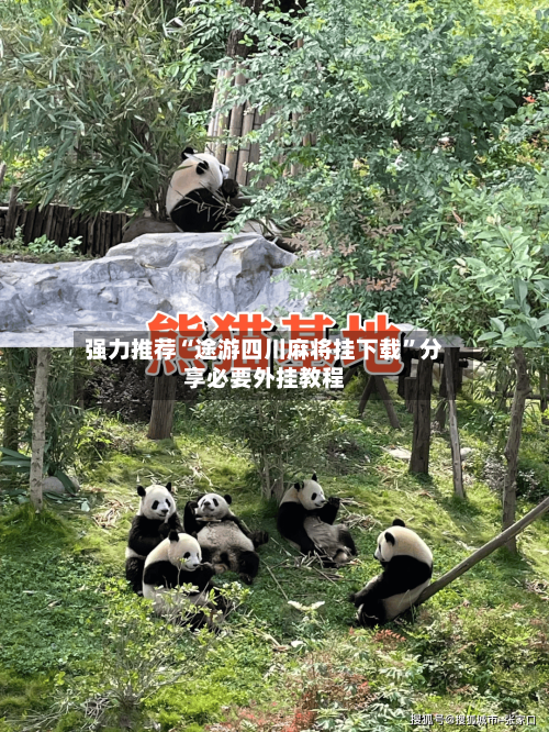 强力推荐“途游四川麻将挂下载”分享必要外挂教程-第2张图片