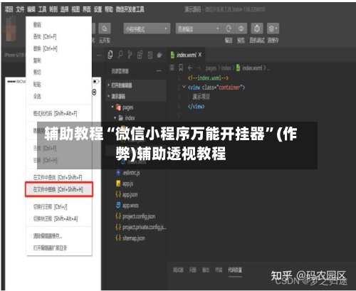辅助教程“微信小程序万能开挂器”(作弊)辅助透视教程-第2张图片