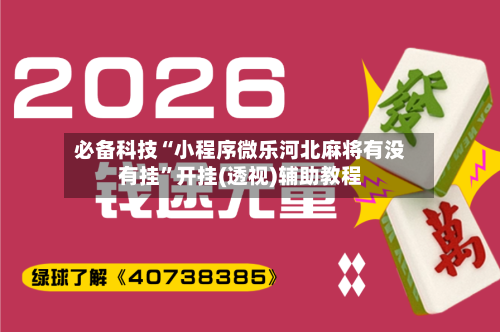 必备科技“小程序微乐河北麻将有没有挂”开挂(透视)辅助教程-第3张图片