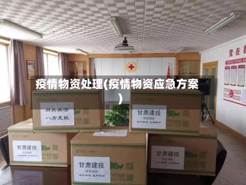 疫情物资处理(疫情物资应急方案)-第3张图片