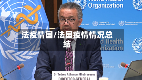 法疫情国/法国疫情情况总结