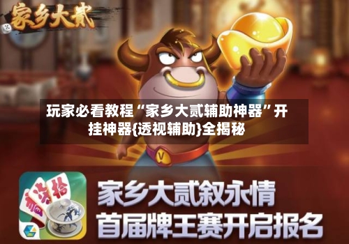 玩家必看教程“家乡大贰辅助神器”开挂神器{透视辅助}全揭秘-第1张图片