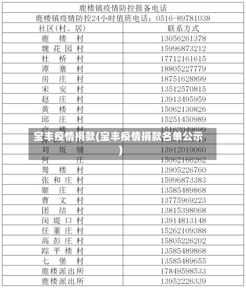 宝丰疫情捐款(宝丰疫情捐款名单公示)-第3张图片