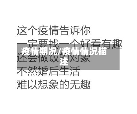 疫情期况/疫情情况描述-第2张图片