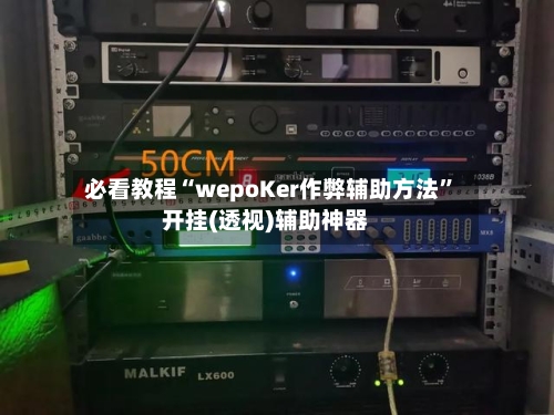 必看教程“wepoKer作弊辅助方法”开挂(透视)辅助神器-第2张图片