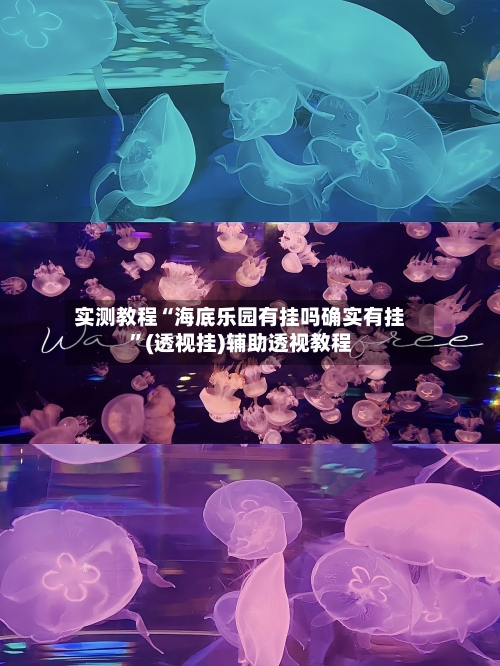 实测教程“海底乐园有挂吗确实有挂”(透视挂)辅助透视教程-第1张图片