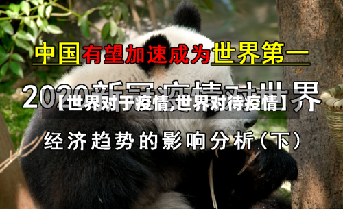 【世界对于疫情,世界对待疫情】-第2张图片