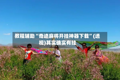 教程辅助“奇迹麻将开挂神器下载”(透视)其实确实有挂-第3张图片