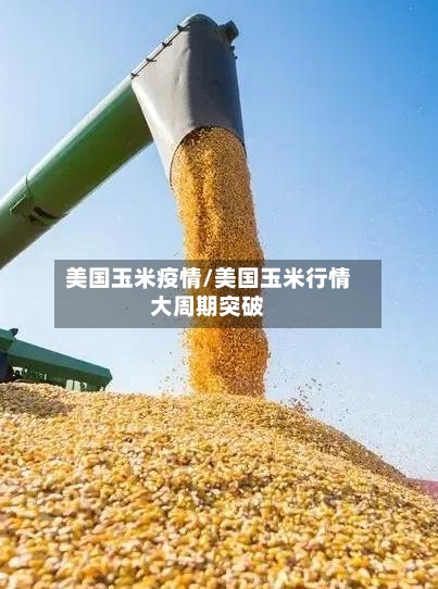 美国玉米疫情/美国玉米行情大周期突破-第2张图片
