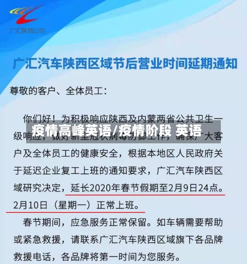 疫情高峰英语/疫情阶段 英语