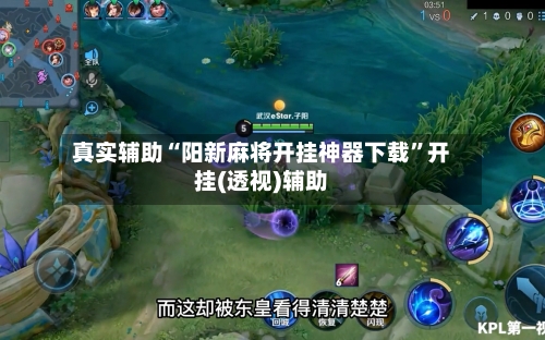 真实辅助“阳新麻将开挂神器下载”开挂(透视)辅助-第1张图片