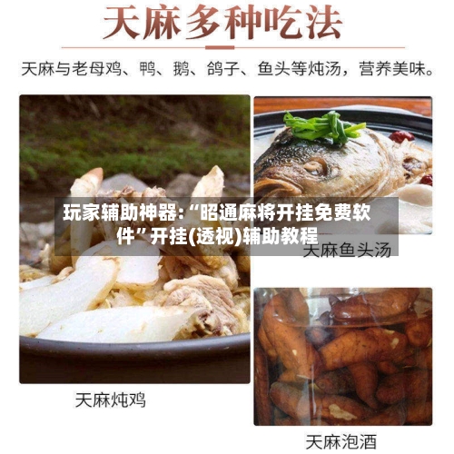 玩家辅助神器:“昭通麻将开挂免费软件”开挂(透视)辅助教程