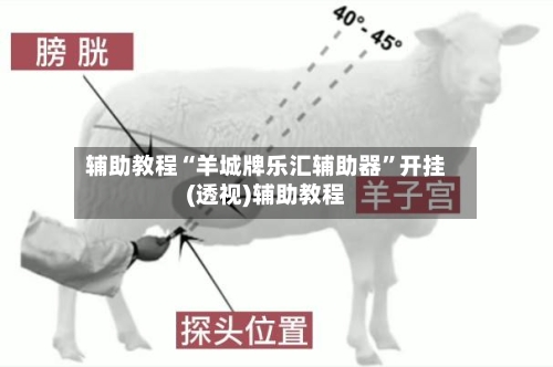 辅助教程“羊城牌乐汇辅助器	”开挂(透视)辅助教程-第1张图片