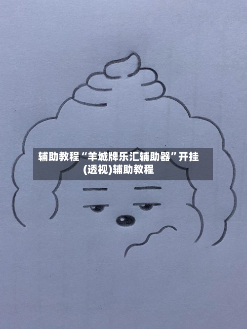 辅助教程“羊城牌乐汇辅助器”开挂(透视)辅助教程-第2张图片