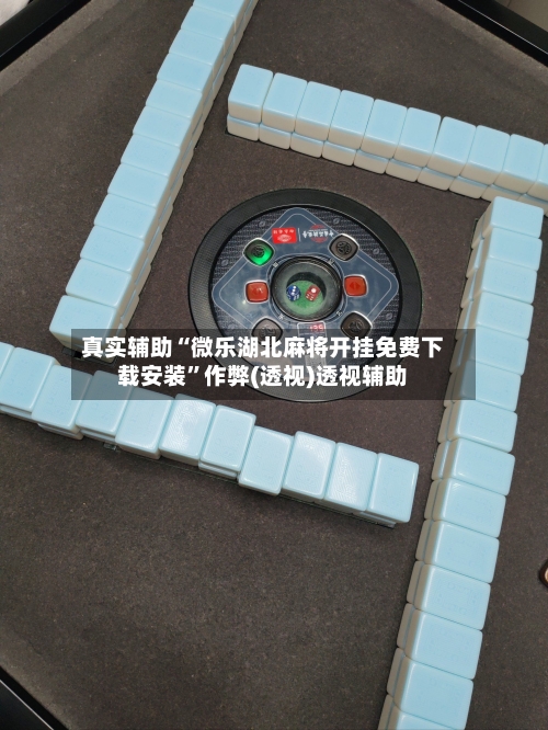 真实辅助“微乐湖北麻将开挂免费下载安装”作弊(透视)透视辅助-第1张图片