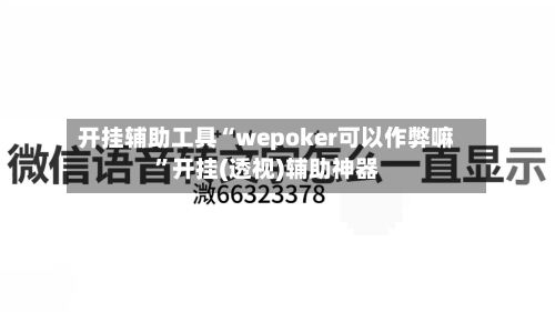 开挂辅助工具“wepoker可以作弊嘛”开挂(透视)辅助神器-第3张图片