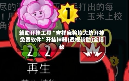 辅助开挂工具“吉祥麻将填大坑开挂免费软件	”开挂神器{透视辅助}全揭秘-第1张图片