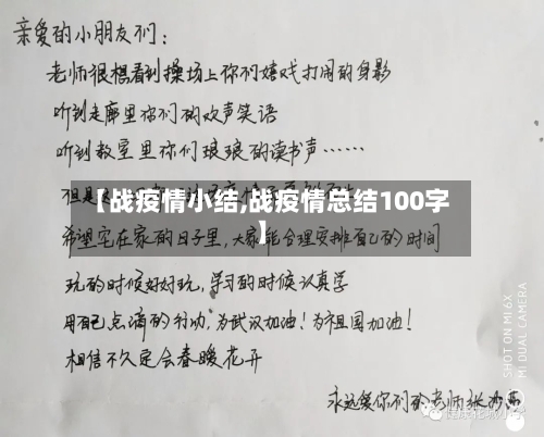 【战疫情小结,战疫情总结100字】-第2张图片