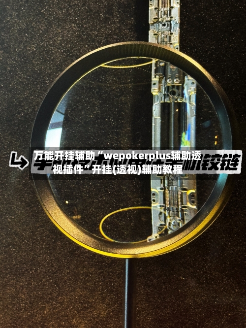 万能开挂辅助“wepokerplus辅助透视插件”开挂(透视)辅助教程-第2张图片