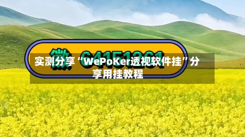 实测分享“WePoKer透视软件挂”分享用挂教程