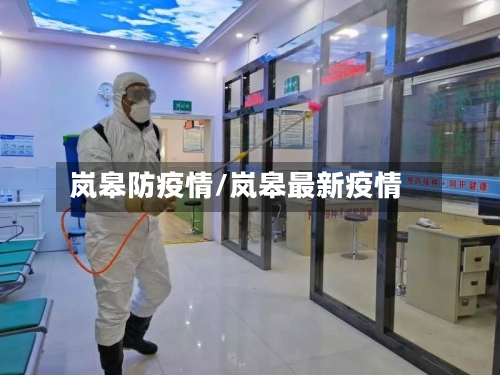 岚皋防疫情/岚皋最新疫情-第1张图片