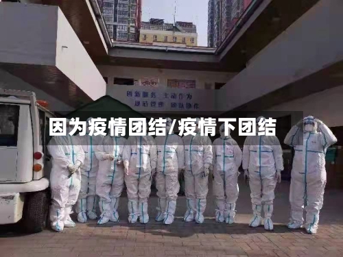 因为疫情团结/疫情下团结