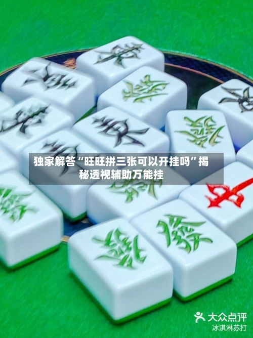 独家解答“旺旺拼三张可以开挂吗”揭秘透视辅助万能挂-第3张图片