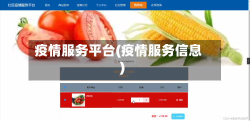 疫情服务平台(疫情服务信息)-第2张图片