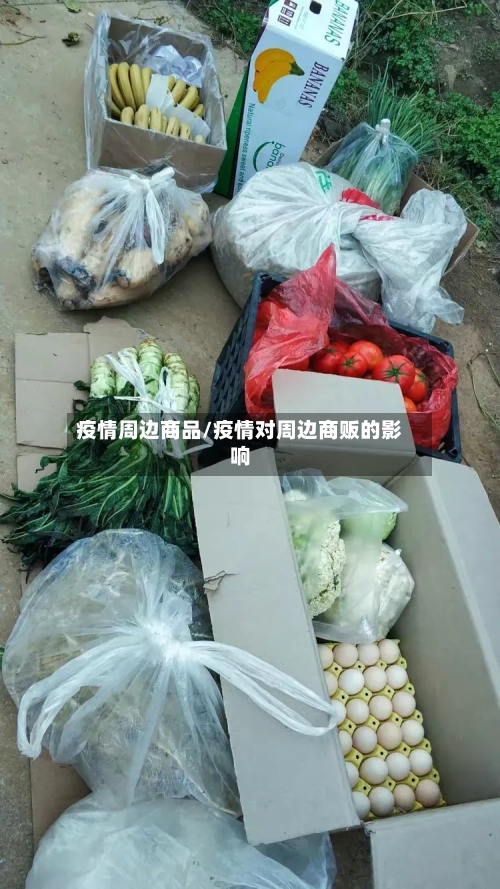 疫情周边商品/疫情对周边商贩的影响-第2张图片