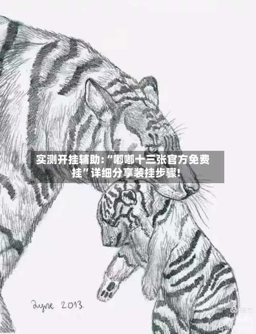 实测开挂辅助:“嘟嘟十三张官方免费挂”详细分享装挂步骤!-第2张图片