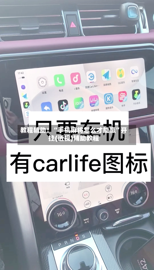 教程辅助！“手机麻将怎么才能赢”开挂(透视)辅助教程-第2张图片