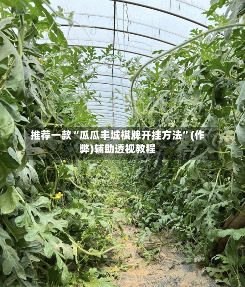 推荐一款“瓜瓜丰城棋牌开挂方法”(作弊)辅助透视教程-第2张图片